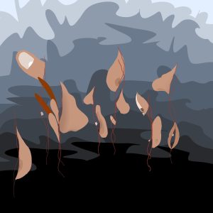 Thinking about people in the world who might be creating a better future for you, but who you can’t trust. Think about people whose lives you might be improving but who don’t know or trust you.