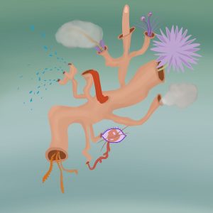 Meditate for ten minutes before viewing. Feel the forces fall away. Let the flowers emerge. Feel and see. Be alive.